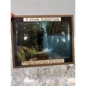 Antique Magic Glass Lantern Slide T. Enami Imaichi Road Japan Cedar Trees  JL